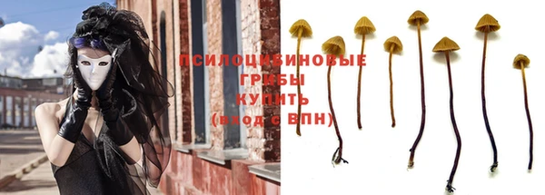 каннабис Дмитриев